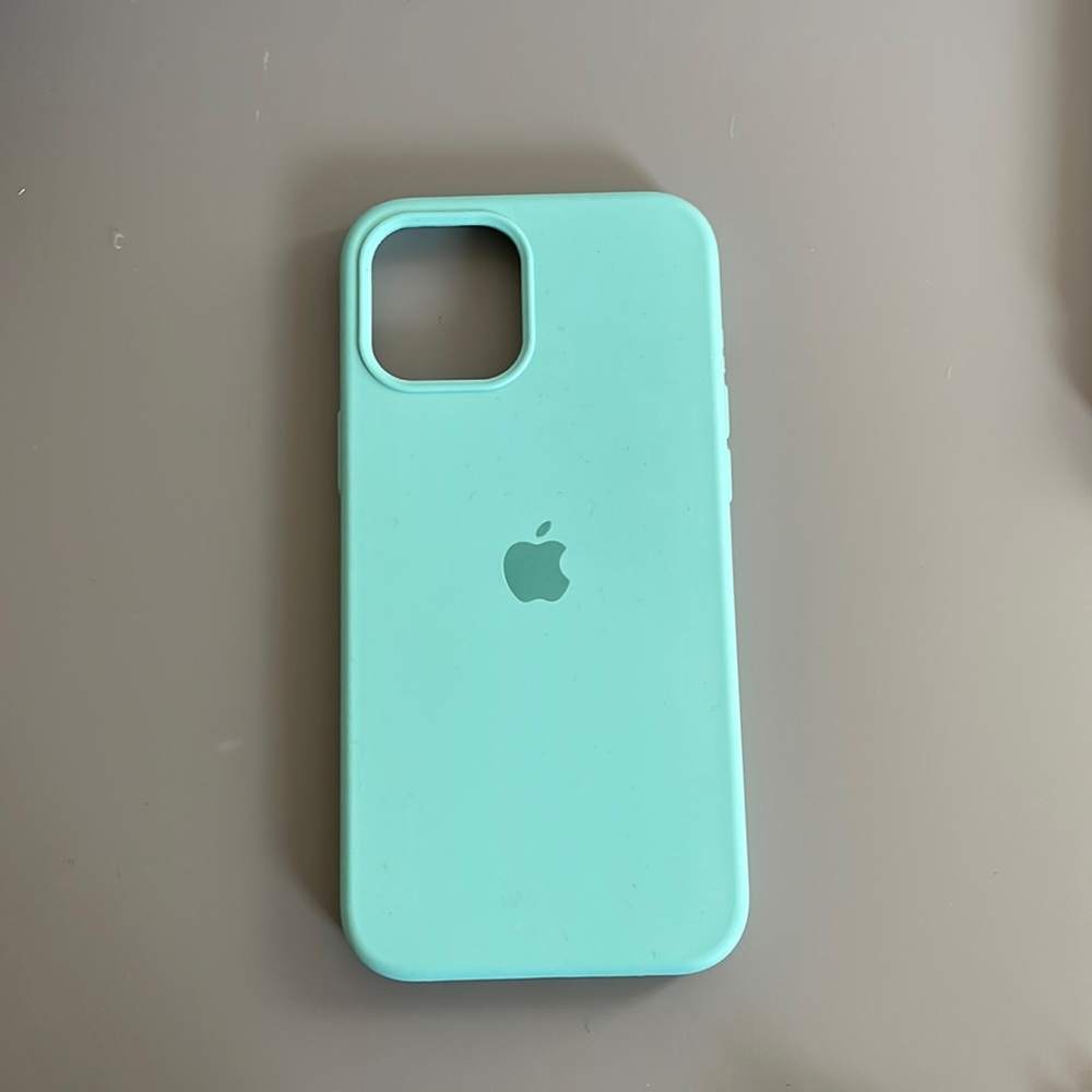 iPhone 12 Pro Max case